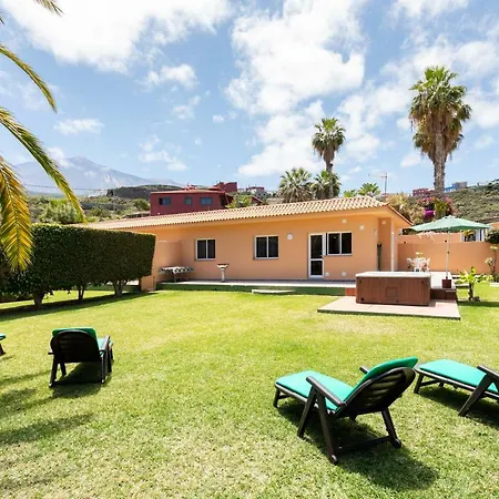 La Gaviota - Palmeras